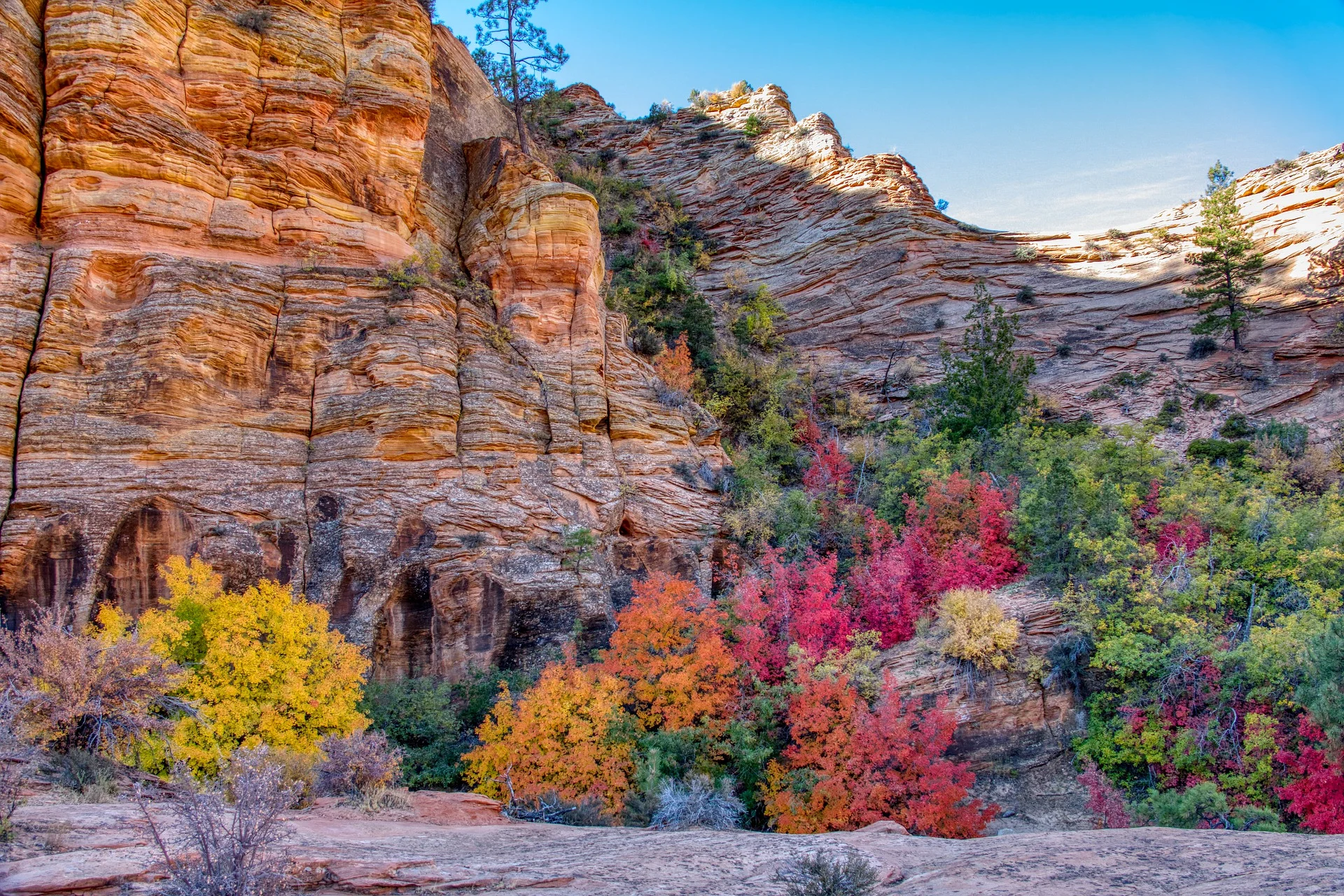 Zion National Park